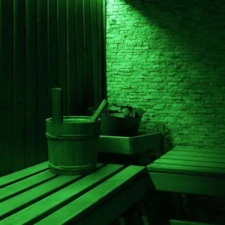 酒店 地拉那温泉大酒店 4*