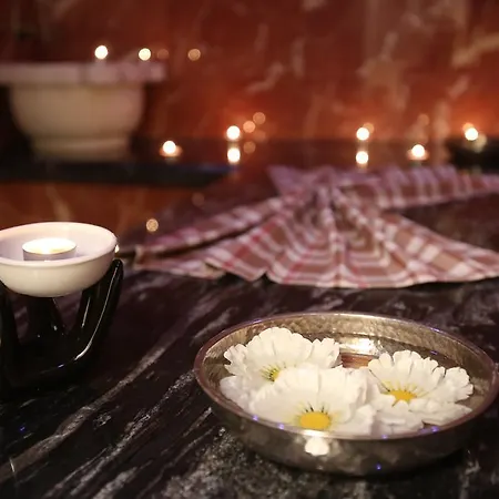 酒店 地拉那温泉大酒店