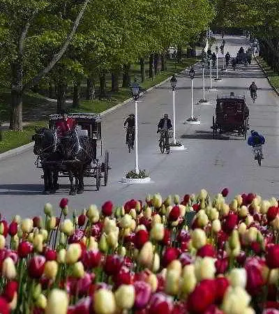فندق Grand & تيرانا